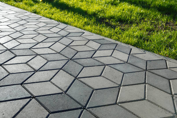 Best Driveway Paving Near Me  in Bridgeville, DE